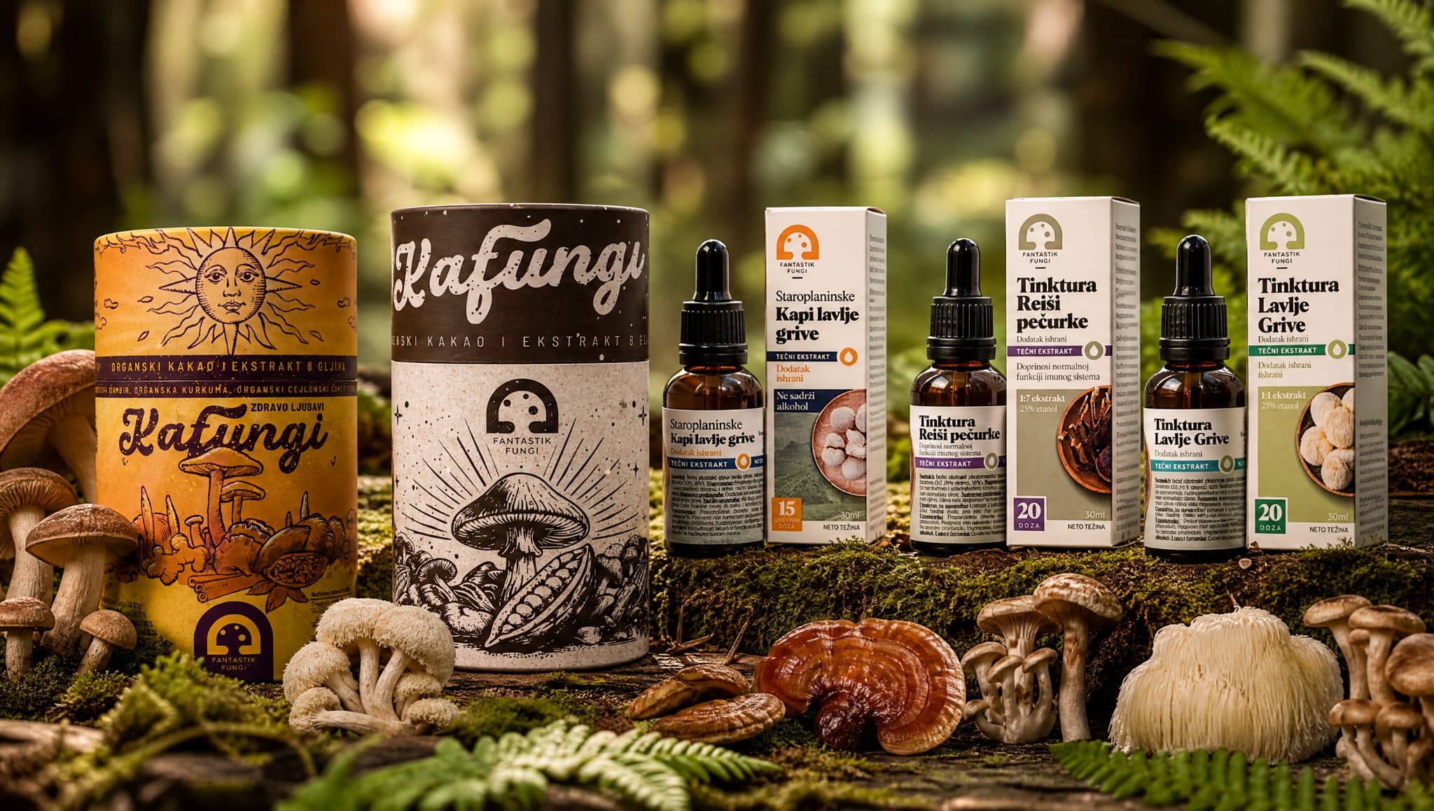 Fantastik Fungi proizvodi od lekovitih gljiva, Kafungi kakao i tinkture reishi i lavlje grive u šumskoj sceni